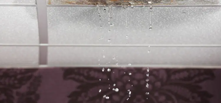 Top 7 Causes of Commercial Water Damage and How to Prevent Them