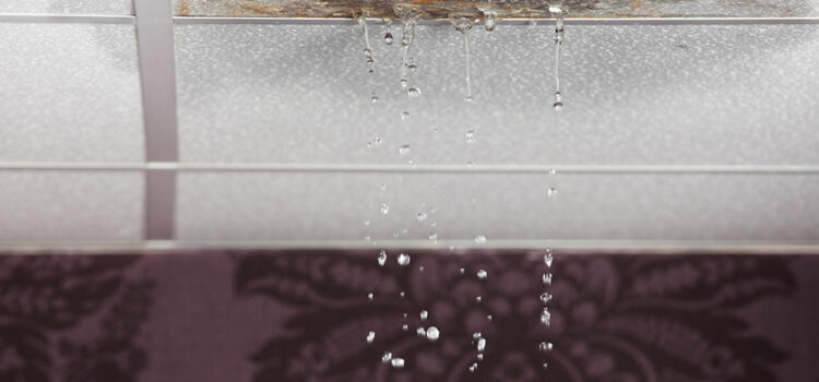 Top 7 Causes of Commercial Water Damage and How to Prevent Them